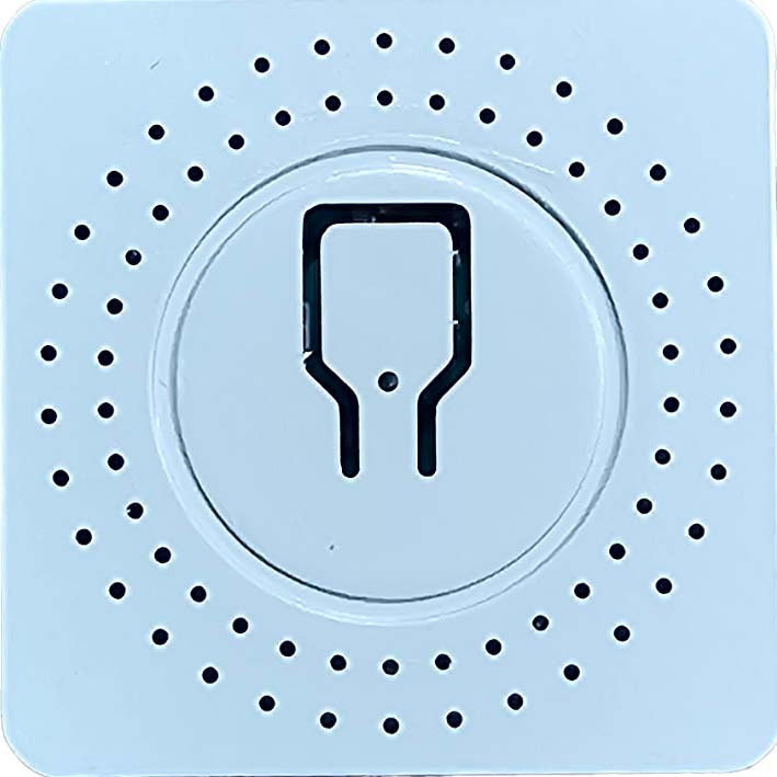 رله هوشمند دوکانال مدل :PZS-T10-2G