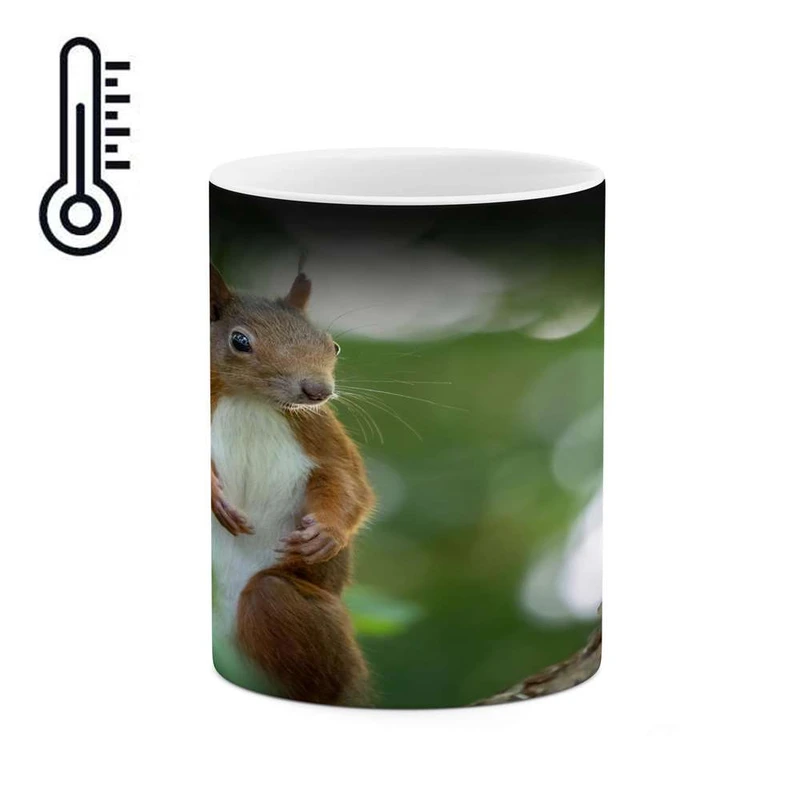 ماگ حرارتی کاکتی مدل سنجاب کد mgh15710