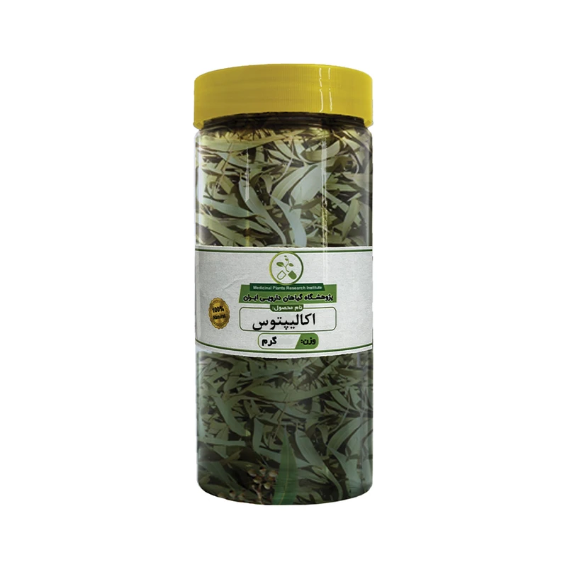 برگ اکالیپتوس خشک ایران گیاه - 100 گرم