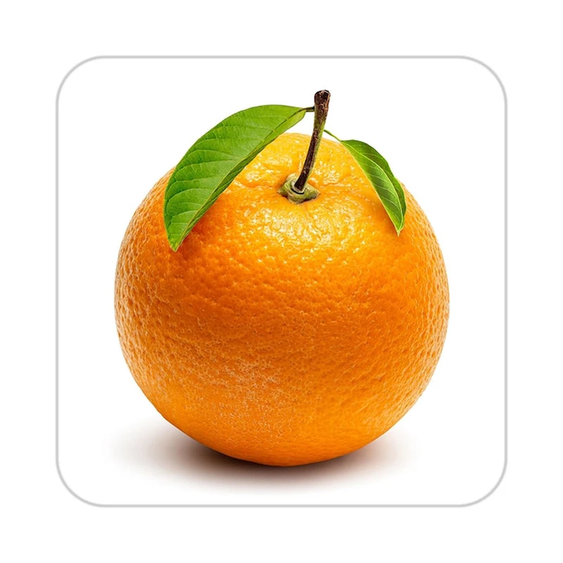 زیر لیوانی کاکتی طرح میوه مدل mp21649