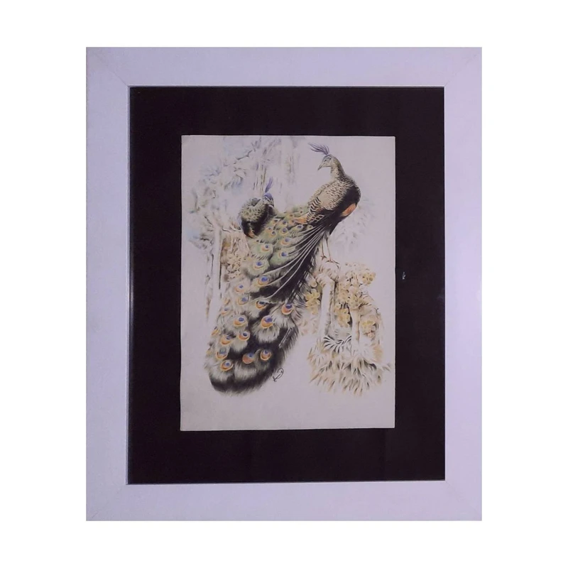 تابلو نقاشی مداد رنگی مدل طاووس