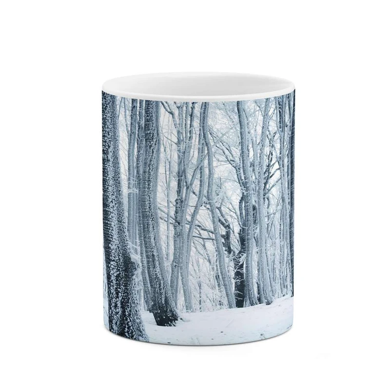 ماگ کاکتی مدل منظره برفی کد mgh14838