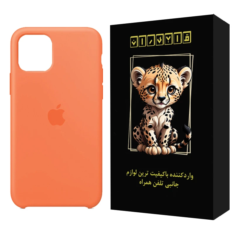 کاور قاب ایران مدل ساده طرح SLB مناسب برای گوشی موبایل اپل iPhone 11 Pro