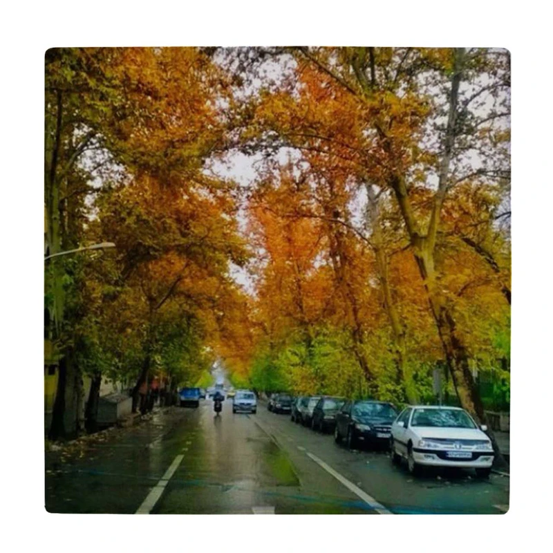  زیر لیوانی  طرح جاده پاییزی کد    4557567_3125