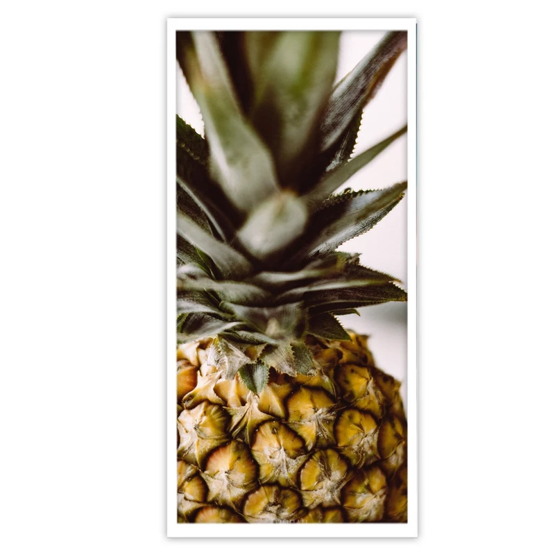 تابلو بکلیت طرح میوه استوایی آناناس مدل W-S3726