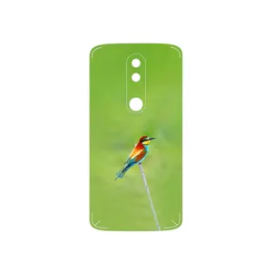 MAHOOT European bee-eater Cover Sticker for Motorola Moto X Force