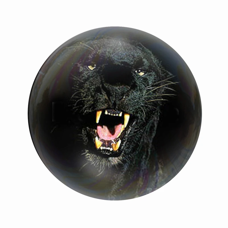 مگنت عرش طرح فانتزی پلنگ Panther کد Asm7207