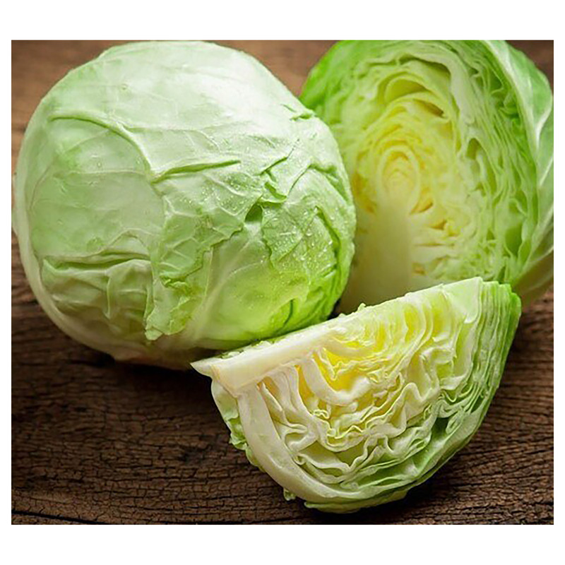 بذر کلم برگ سبز آذر سبزینه مدل A123