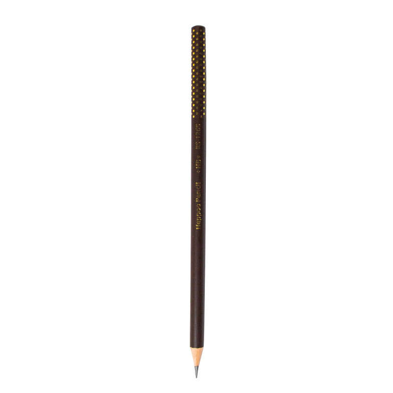 مداد مشکی هیپو مدل RS1265 بسته 12 عددی 