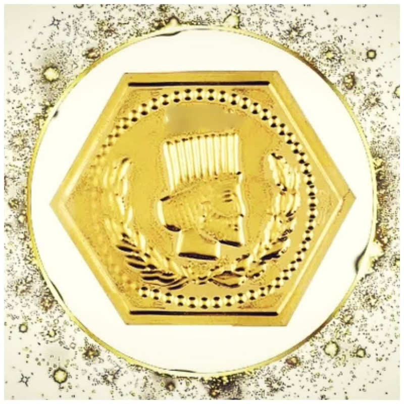 سکه گرمی 18 عیار پارسیان مدل زردیس کد s250