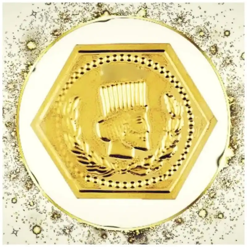 سکه گرمی 18 عیار پارسیان مدل زردیس کد z100