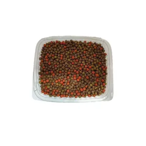 غذای ماهی  مدل f33 وزن 300 گرم