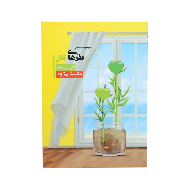 کتاب بذرهای کال اثر فرشته دانش پژوه نشر خیابان