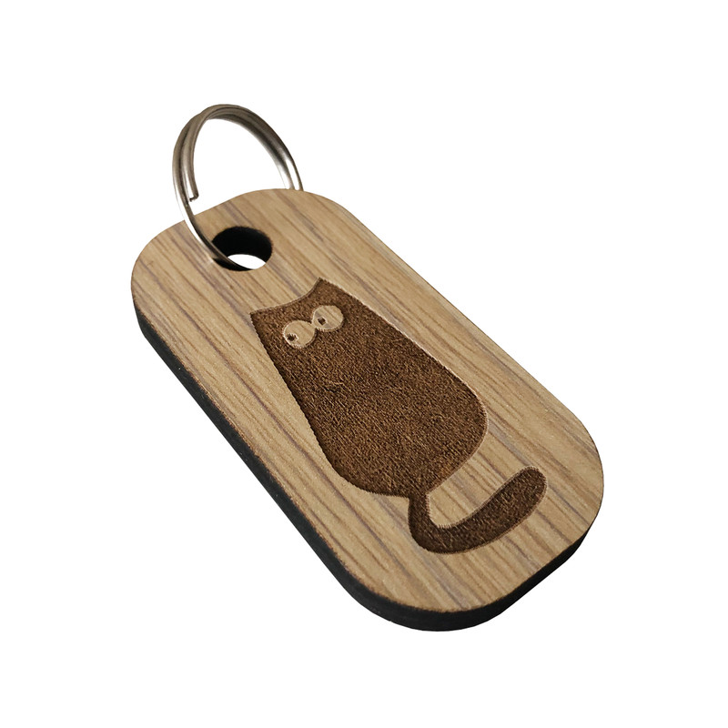 جا کلیدی مدل fj20