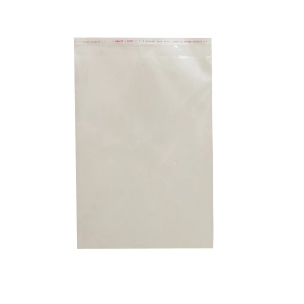 سلفون مدل SEL 18x25 AG بسته 10 عددی