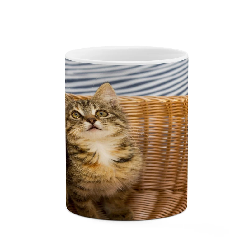 ماگ کاکتی مدل گربه کد mgh17976