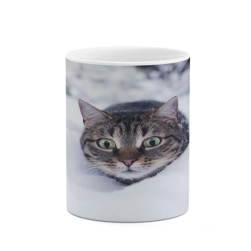 ماگ کاکتی مدل گربه کد mgh16303