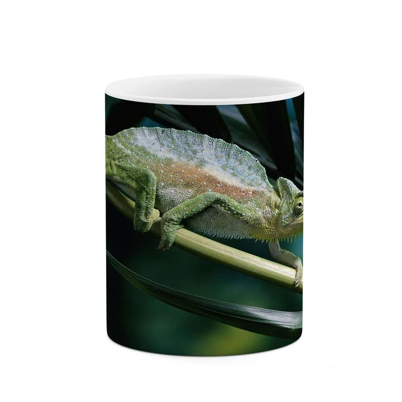 ماگ کاکتی مدل آفتاب  پرست کد mgh15864