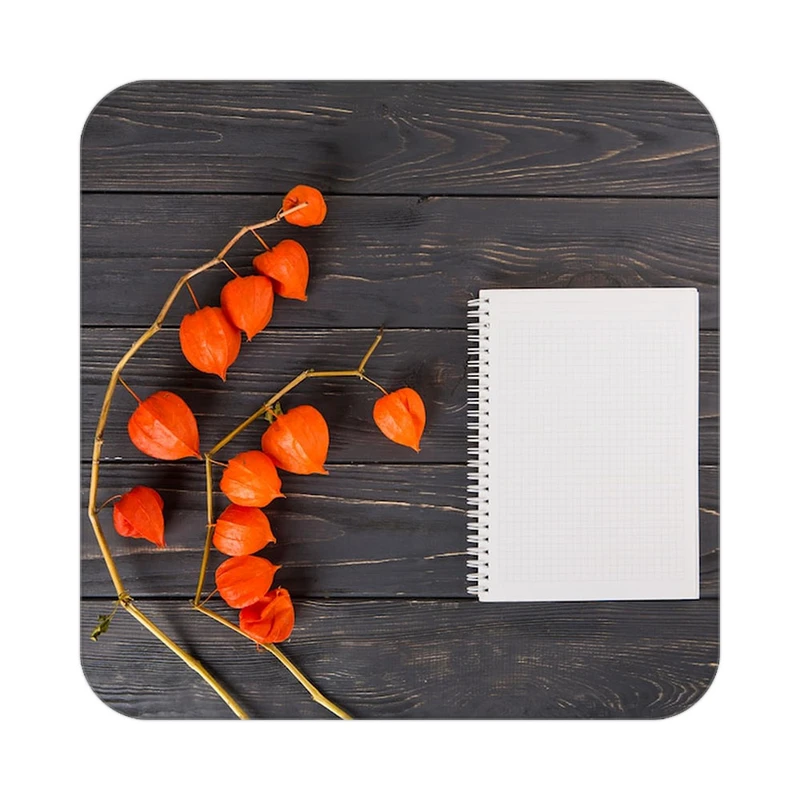 زیر لیوانی کاکتی طرح میوه مدل mp21789