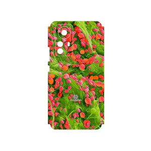 MAHOOT Atom Universe 3 Cover Sticker for Xiaomi 12 Pro