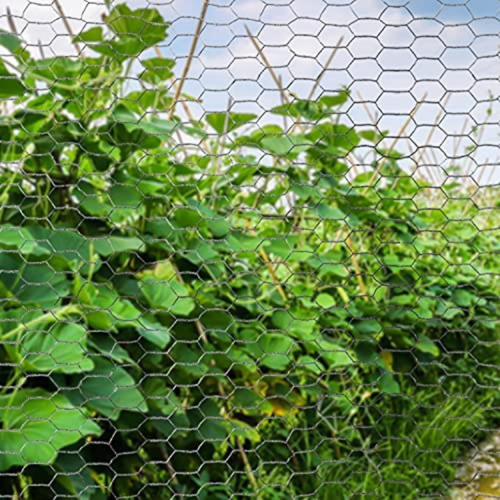 توری مدل مرغی کد 024 طول 10 متر