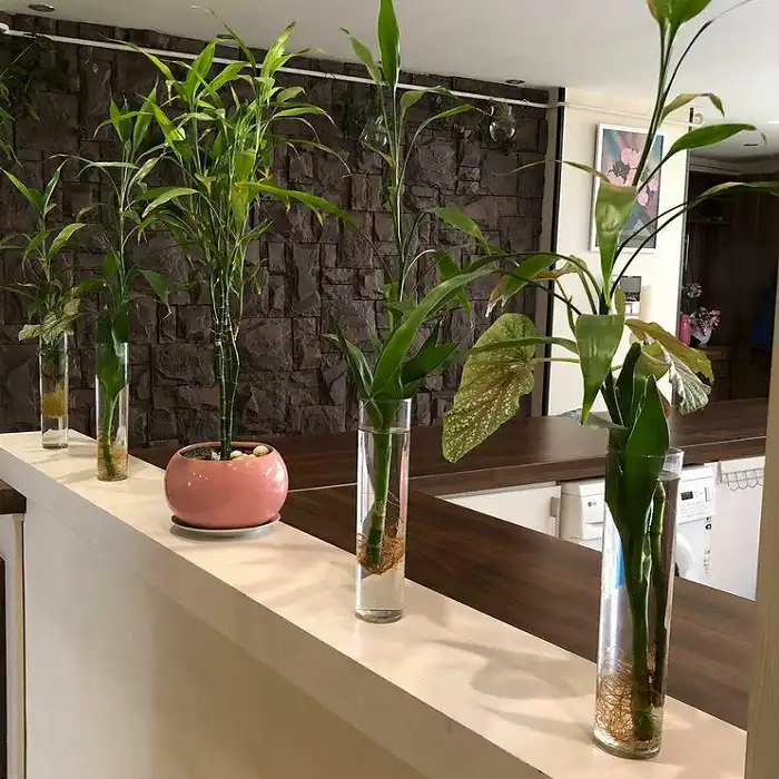 گلدان شیشه ای مدل استوانه بسته 2 عددی