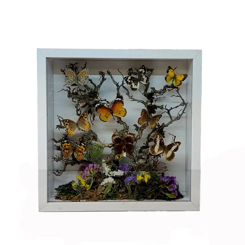 تابلو سه بعدی مدل پروانه طبیعی کد 035