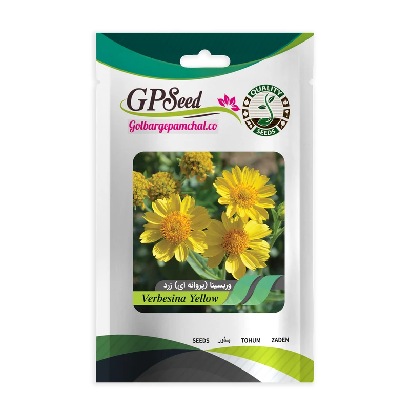بذر گل وربسینا زرد جی پی سید مدل GP15044