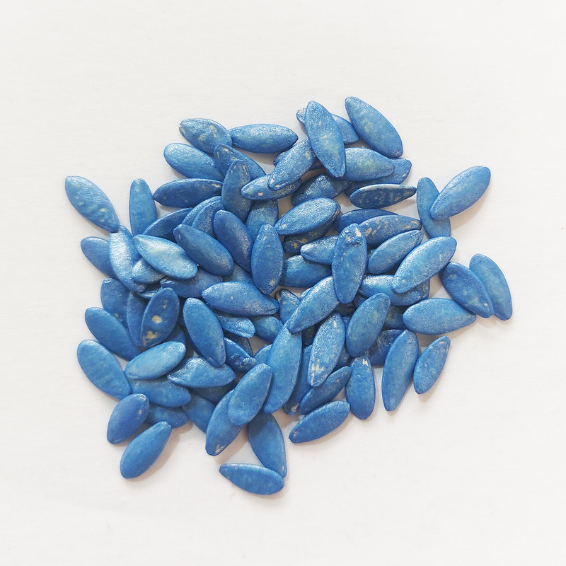 بذر خیار رولر کد B20