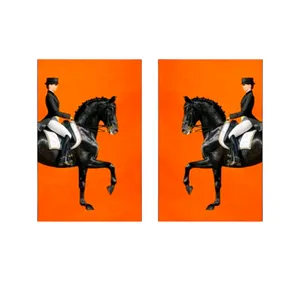 تابلو بوم مدل اسب کد th2 بسته دو عددی