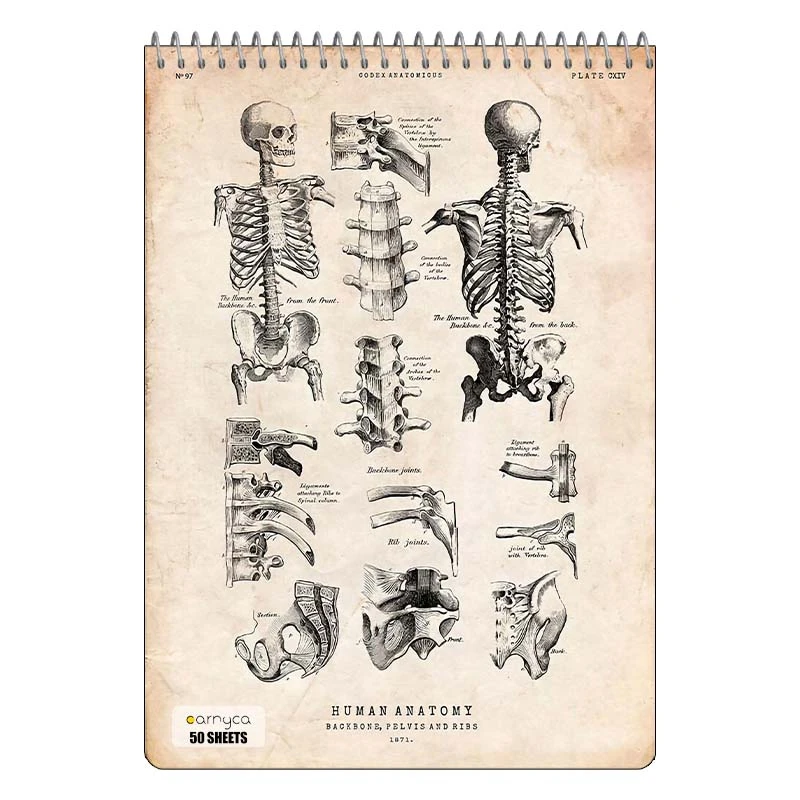 دفتر نقاشی 50 برگ سیمی کارنیکا طرح روزنامه وینتج آناتومی بدن Vintage Newspaper Anatomy کد 14158