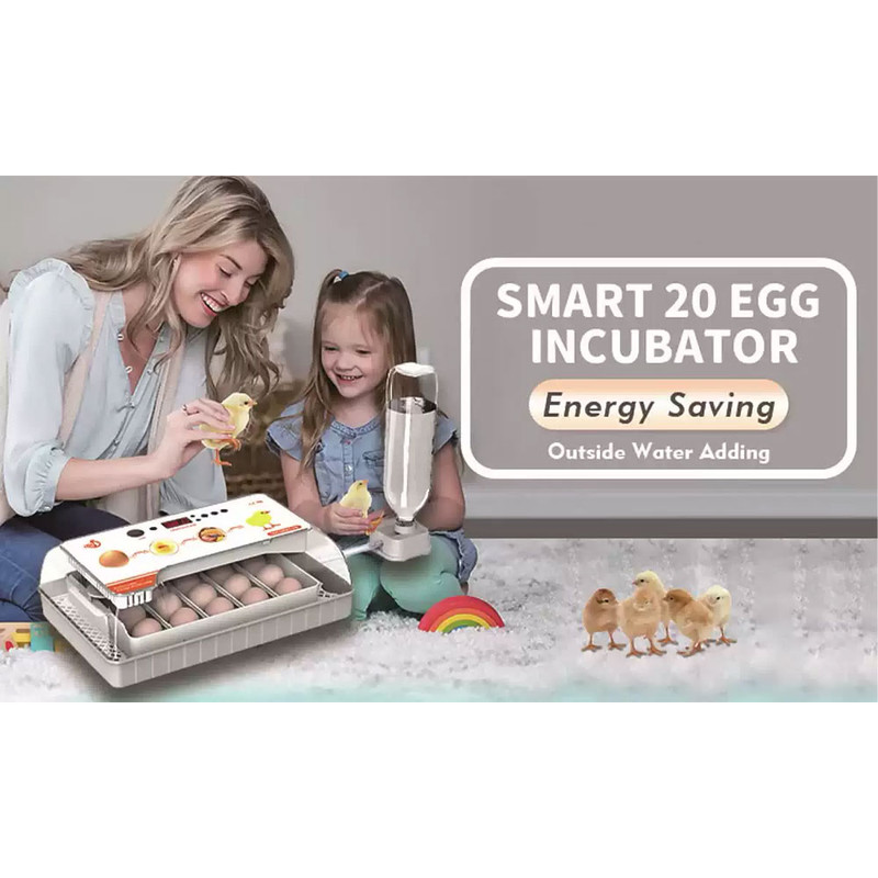 دستگاه جوجه کشی مدل خانگی ظرفیت 20 تایی مدل HHD