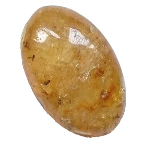 سنگ کهربا مدل حشره دار بالتیک طبیعی کد 05