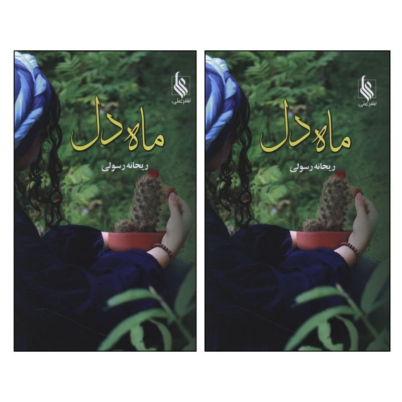 کتاب ماه دل اثر ریحانه رسولی نشر علی 2 جلدی