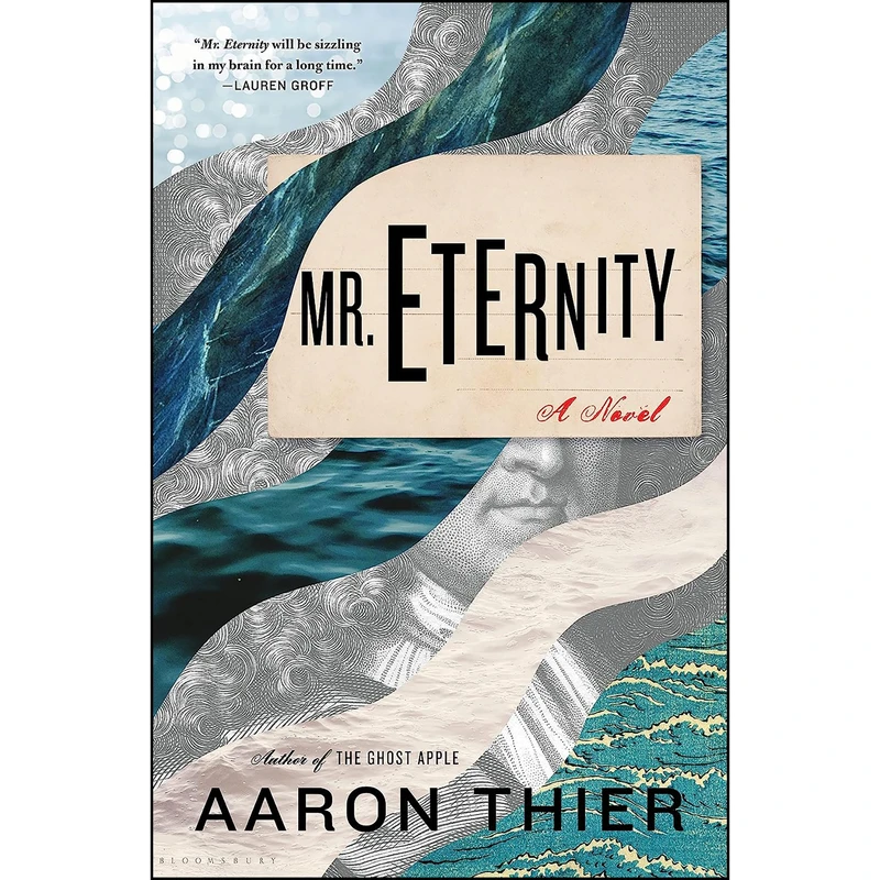 کتاب Mr. Eternity اثر Aaron Thier انتشارات Bloomsbury