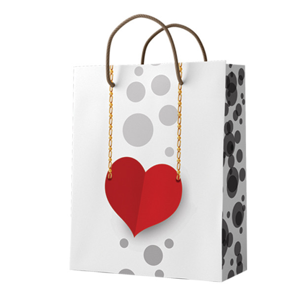 ساک دستی مدل 10245 بسته 12 عددی