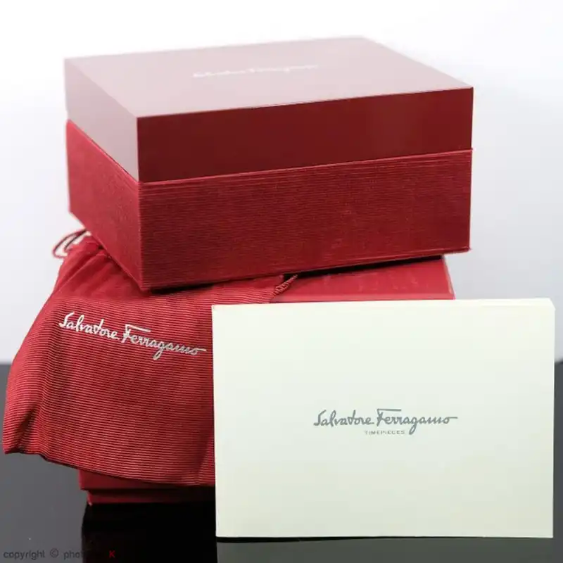 ساعت مچی عقربه ای زنانه سالواتوره فراگامو مدل SFMW003 22