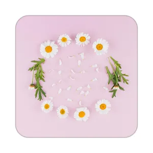 زیر لیوانی کاکتی طرح گل مدل mp19064