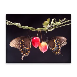 کاشی اطلس آبی طرح پروانه و گیلاس  مدل T5874