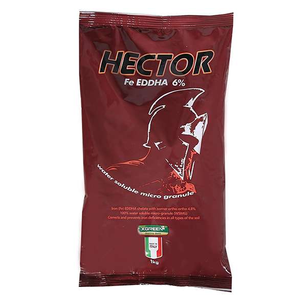 کود کلات آهن 6 درصد ایکس گرین مدل Hector وزن 1 کیلوگرم