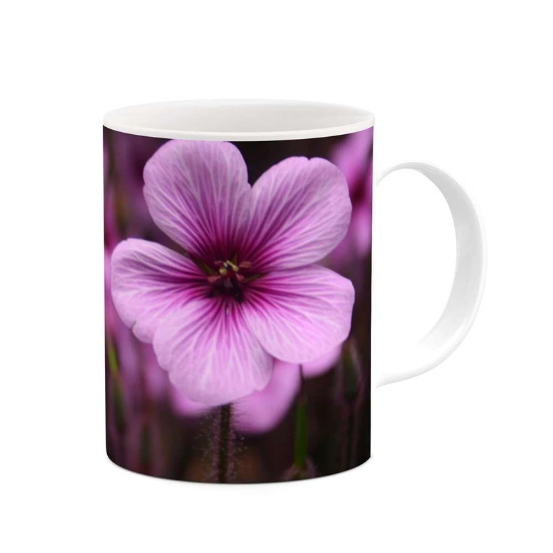 ماگ کاکتی مدل گل کد mgh11973