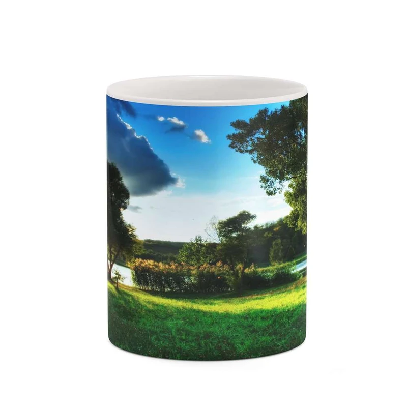 ماگ کاکتی مدل منظره کد mgh20767