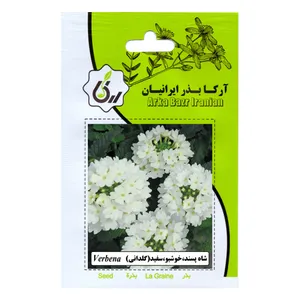 بذر شاه پسند خوشبو سفید آرکا بذر ایرانیان مدل C96