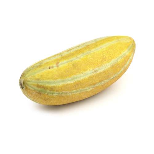 آیا خربزه برای سگ مفید است؟