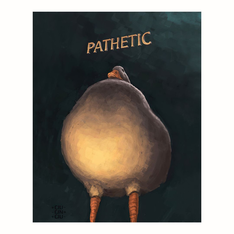 پوستر مدل   اردک قضائی  