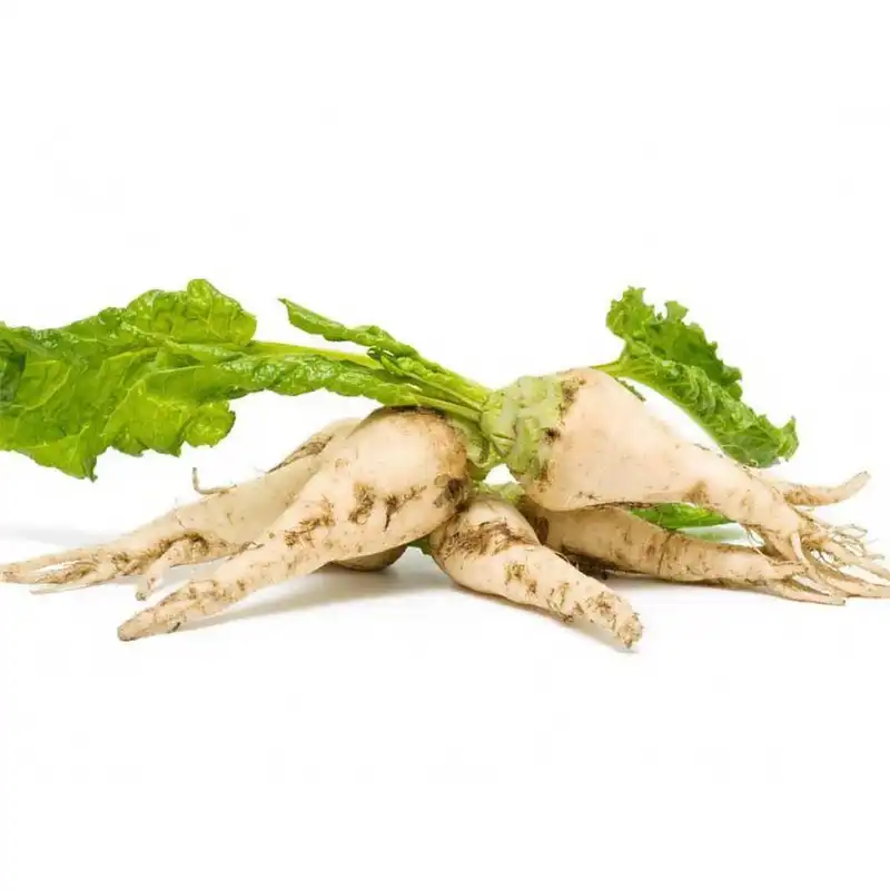 بذر چغندر قند کد B35