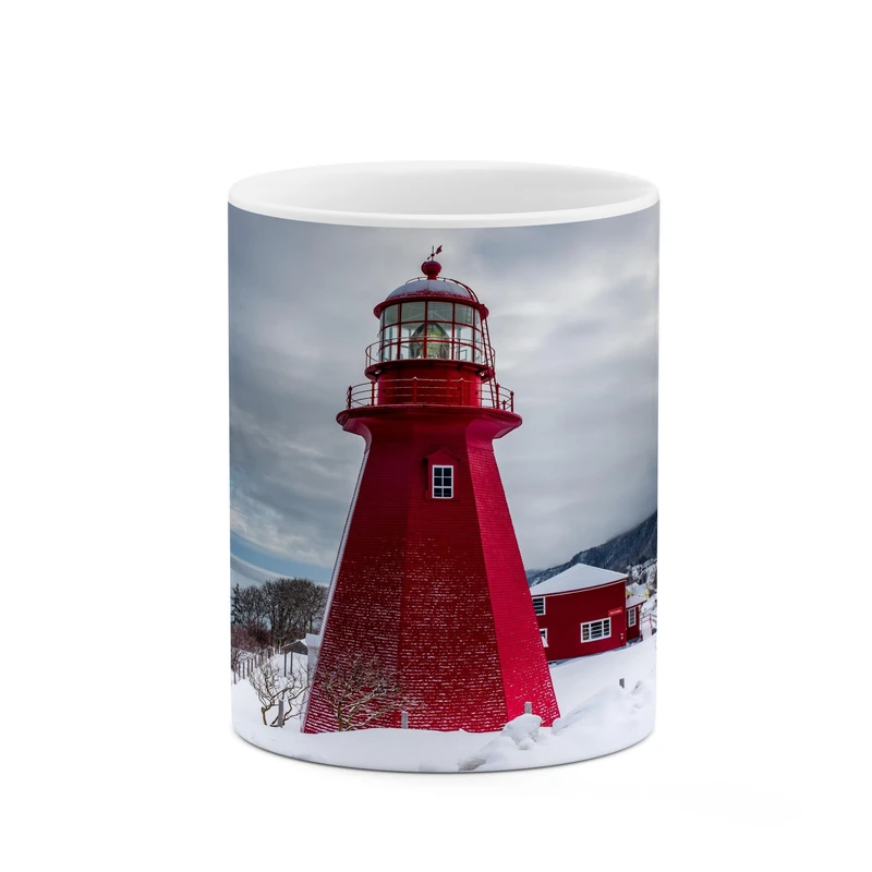 ماگ کاکتی مدل فانتزی کد mgh17131