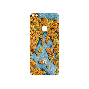 MAHOOT Atom Universe 7 Cover Sticker for Google Pixel XL