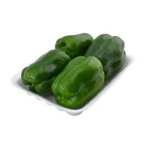 فلفل دلمه سبز درجه یک _ 500 گرم