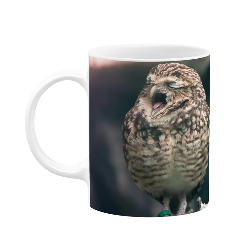 ماگ کاکتی طرح جغد کد mgp11533